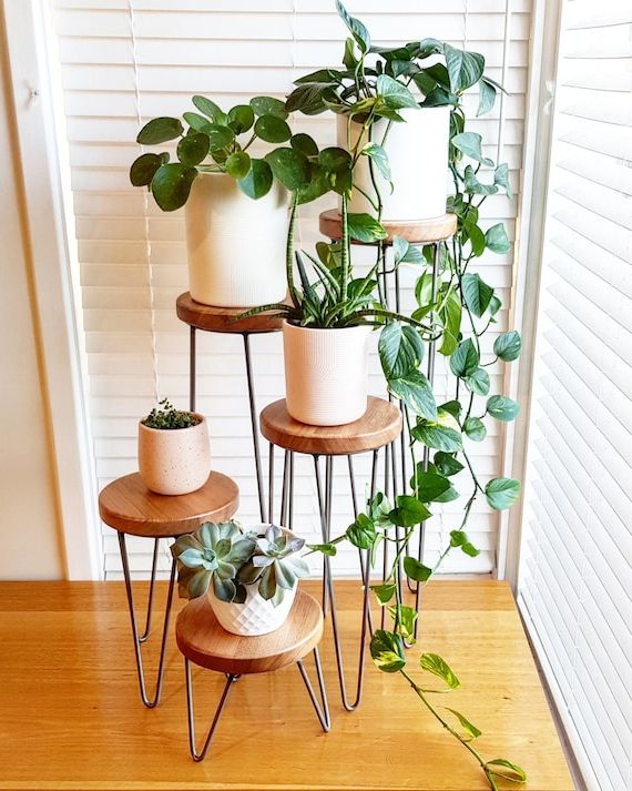 Latest Plant Stands With Side Table With Regard To Harper Hairpin Leg Plant Stand Metal Plant Stand Plant – Etsy (View 2 of 10)