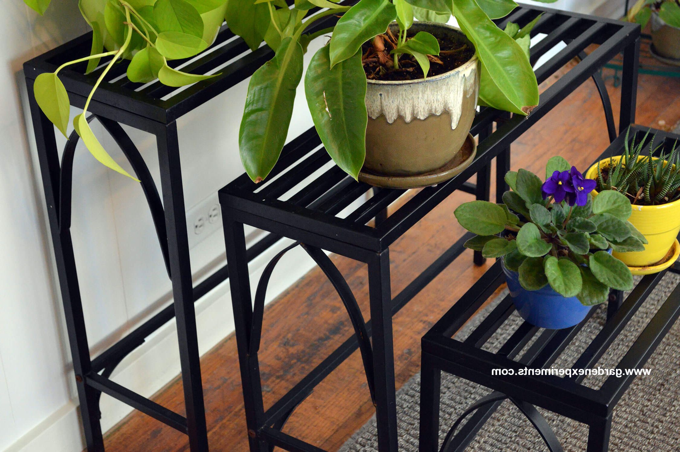 Metal Plant Stands Intended For Most Popular Sturdy Metal Plant Stand Holds 12 Plants (View 7 of 10)