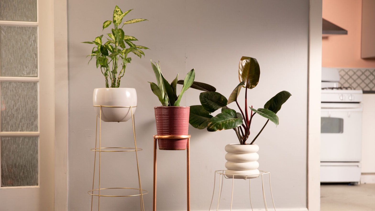 Modern Plant Stands For Latest Diy Modern Plant Stands 3 Ways In 15 Minutes Or Less (View 9 of 10)