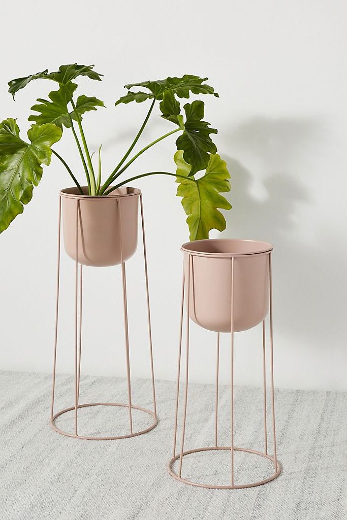 Modern Plant Stands In Preferred 15 Best Indoor Plant Stands That Seriously Stand Out (View 4 of 10)