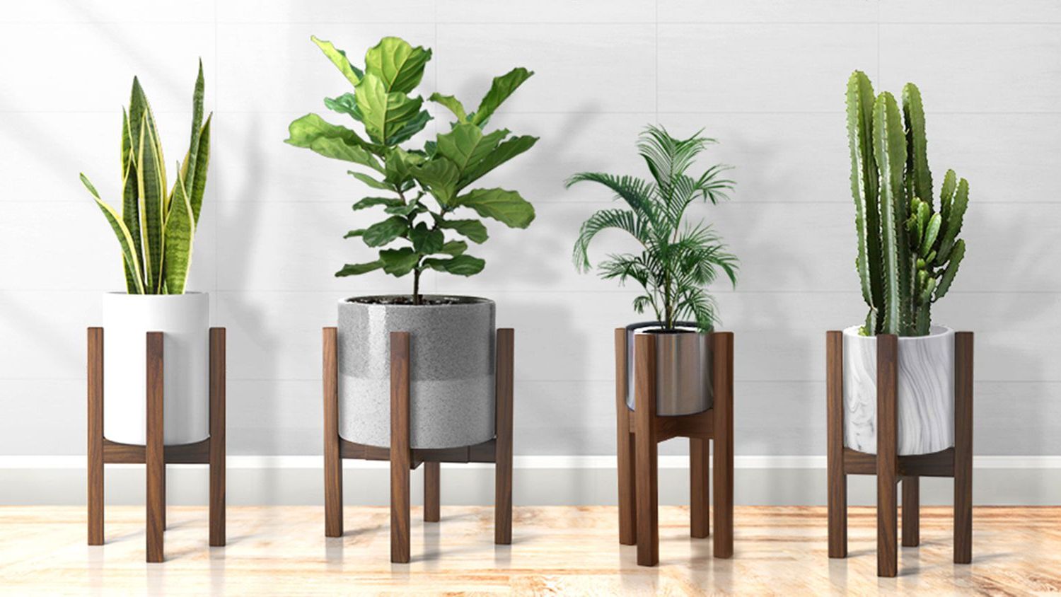 Most Current Indoor Plant Stands With The 8 Best Plant Stands For Every Style (View 5 of 10)