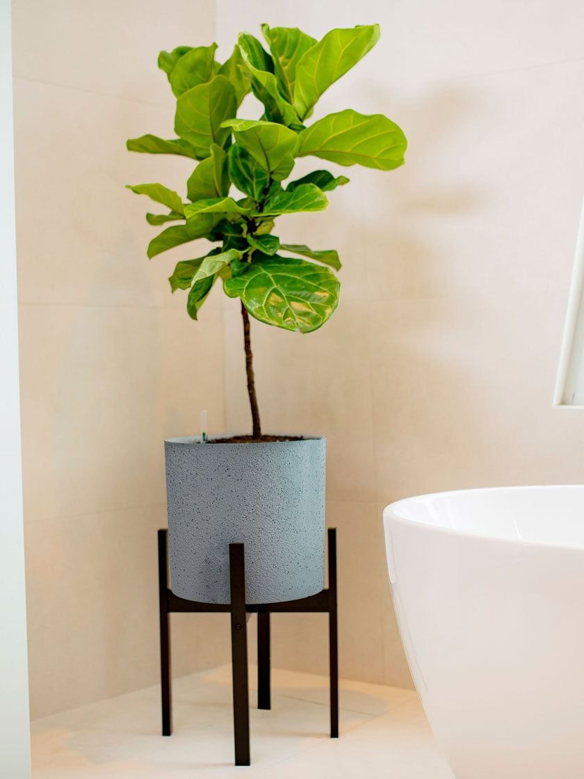 Most Current Vaxa Self Watering Planter With Stand,  (View 4 of 10)