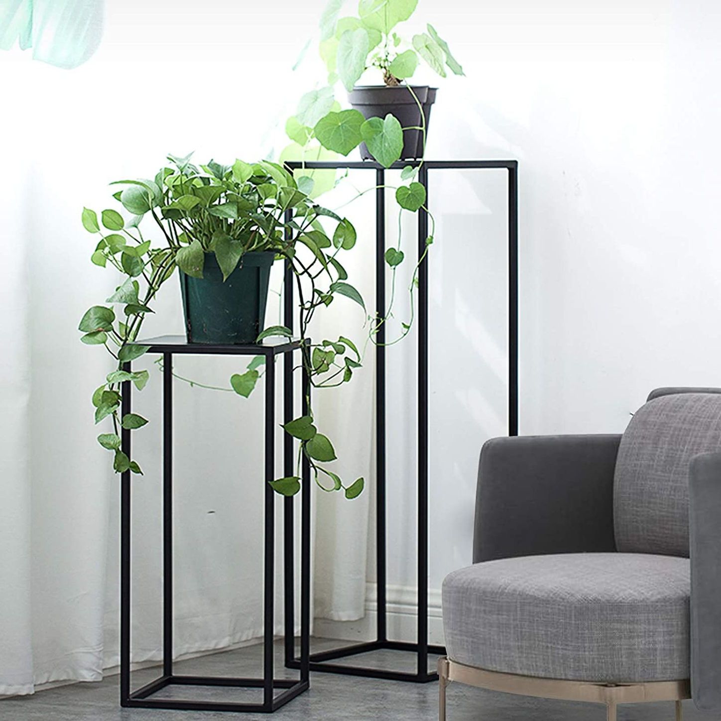 Most Recent 39 Best Plant Stands  (View 3 of 10)