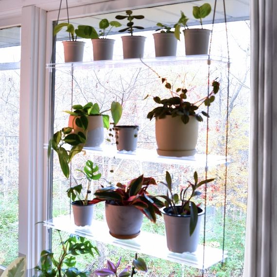 Most Recently Released Clear Plant Stands Inside Clear Acrylic Window Plant Shelf Hanging Plant Shelf Indoor – Etsy (View 4 of 10)