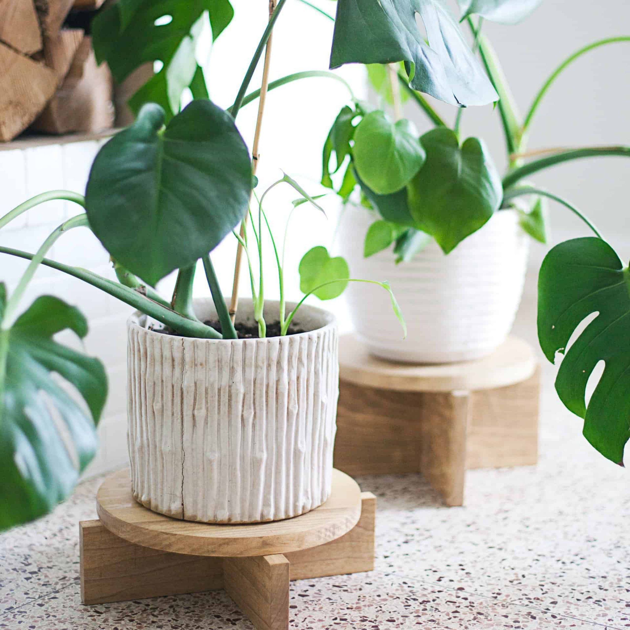 Most Recently Released Wooden Plant Stands In Diy Modern Wood Plant Stands – A Beautiful Mess (View 10 of 10)