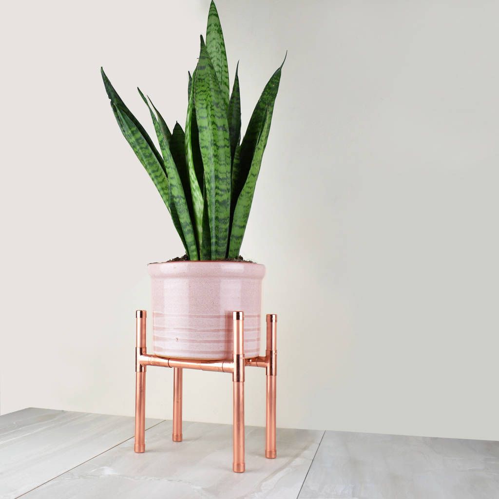 Notonthehighstreet With Regard To Preferred Copper Plant Stands (View 3 of 10)
