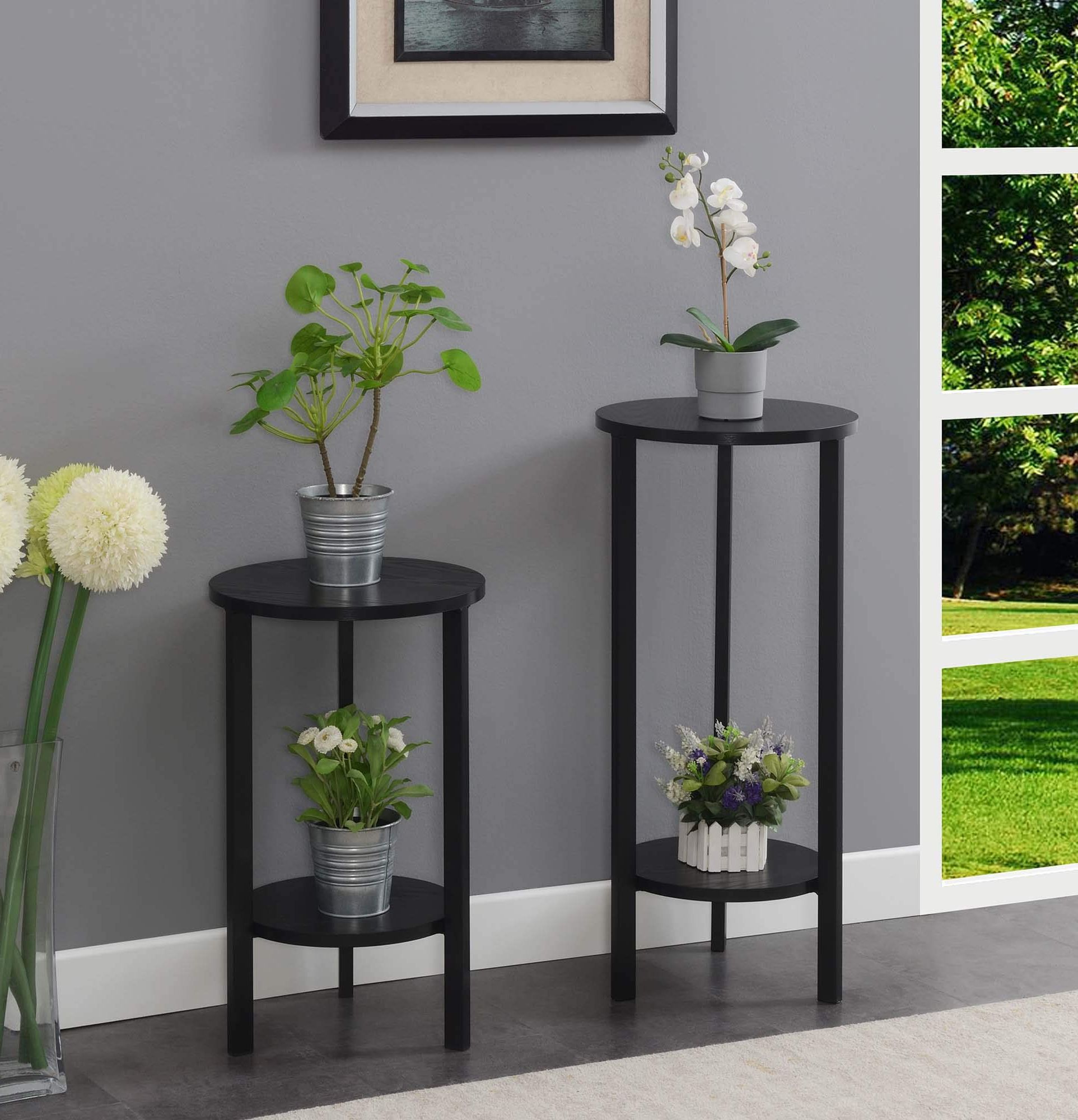 Preferred Greystone Plant Stands Pertaining To Convenience Concepts Graystone 2 Tier Plant Stand, 31", Black/black (View 2 of 10)