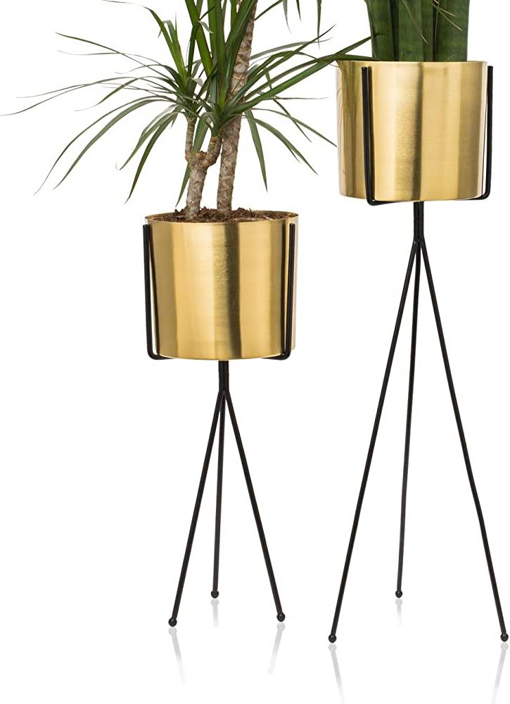 Preferred Set Of 2 Modern Brass Gold Planter With Metal Plant Stand, 7 Inch Large  Flower Pot With Black Mid Century Stands, Modern Decor For Orchid, Aloe,  Snake Plant, 18 And 24 Inch Tall, Indoor Decoration Pertaining To Brass Plant Stands (View 4 of 10)