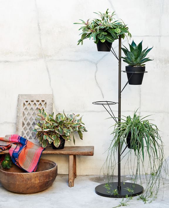 Prism Plant Stand (View 2 of 10)