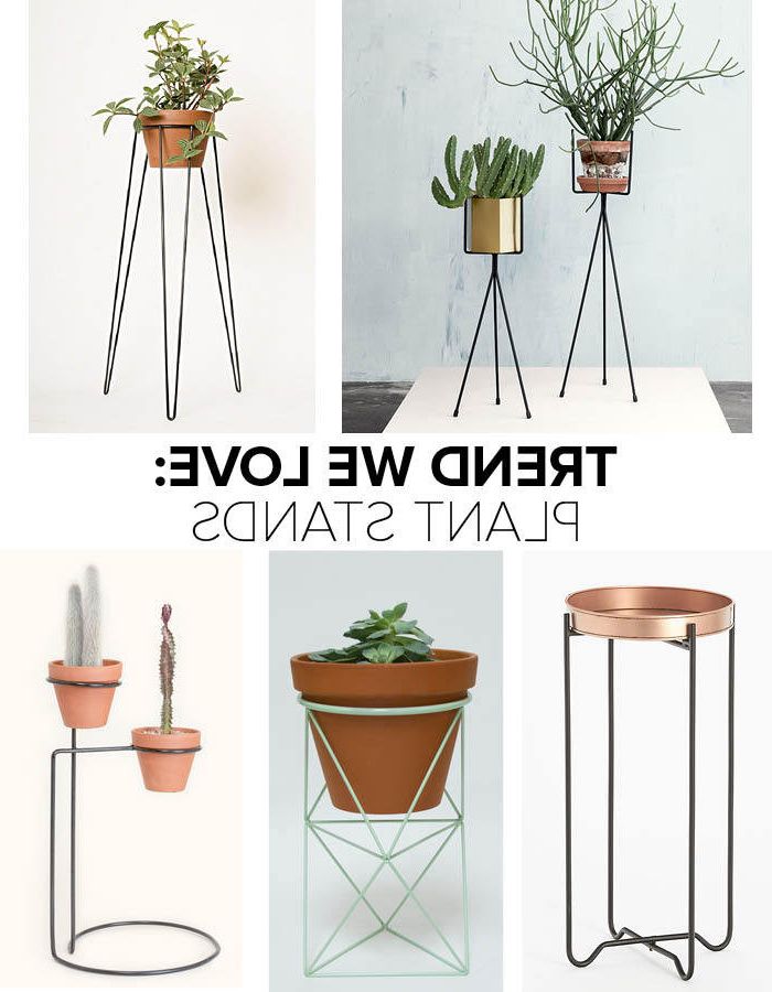 Ring Plant Stands Inside 2018 Trend We Love: Plant Stands – Trends We Love – Lonny (View 6 of 10)