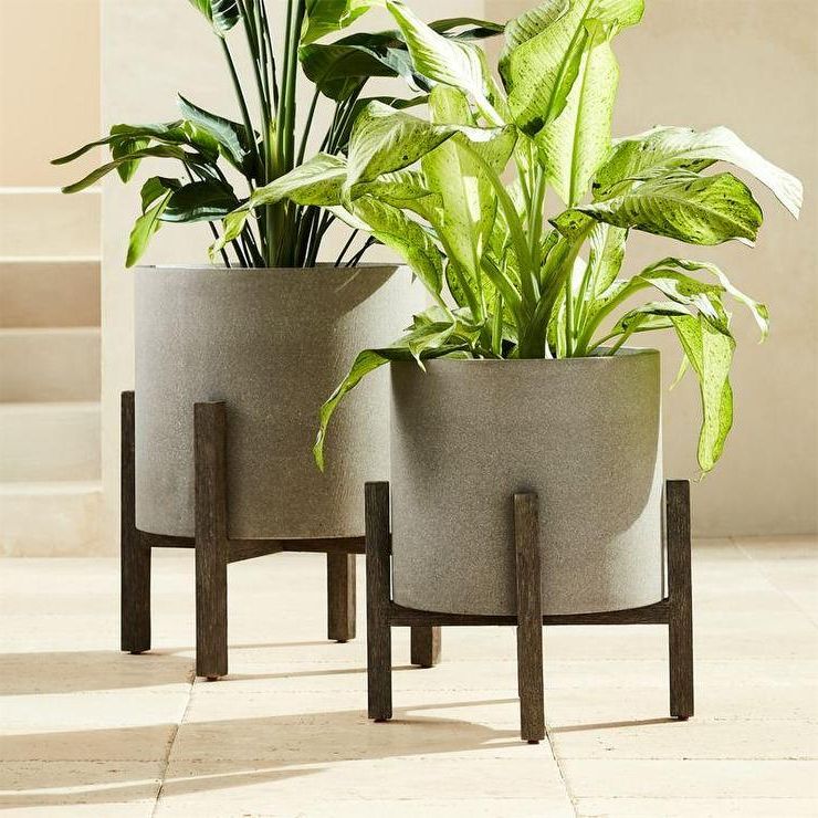 Stone Plant Stands Intended For Popular Ascoli Gray Stone Wood Stand Planters (View 9 of 10)