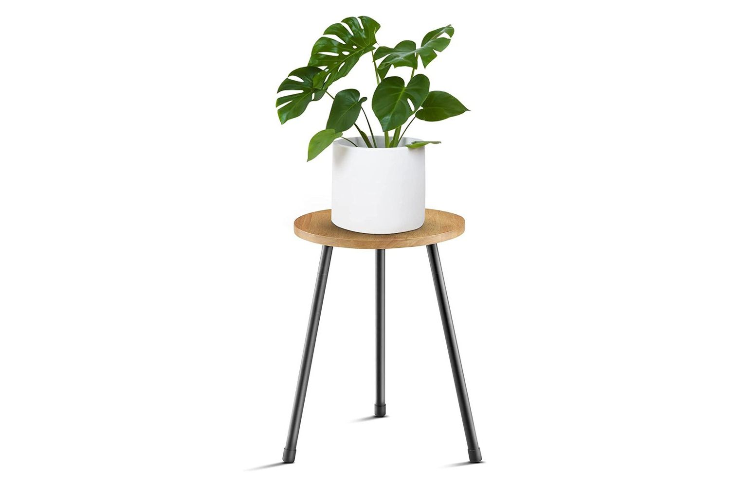 The 13 Best Plant Stands Of 2023 Throughout Popular  (View 7 of 10)