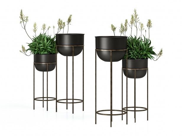 Trendy Wesley Metal Plant Stands Modello 3d With Regard To Metal Plant Stands (View 1 of 10)