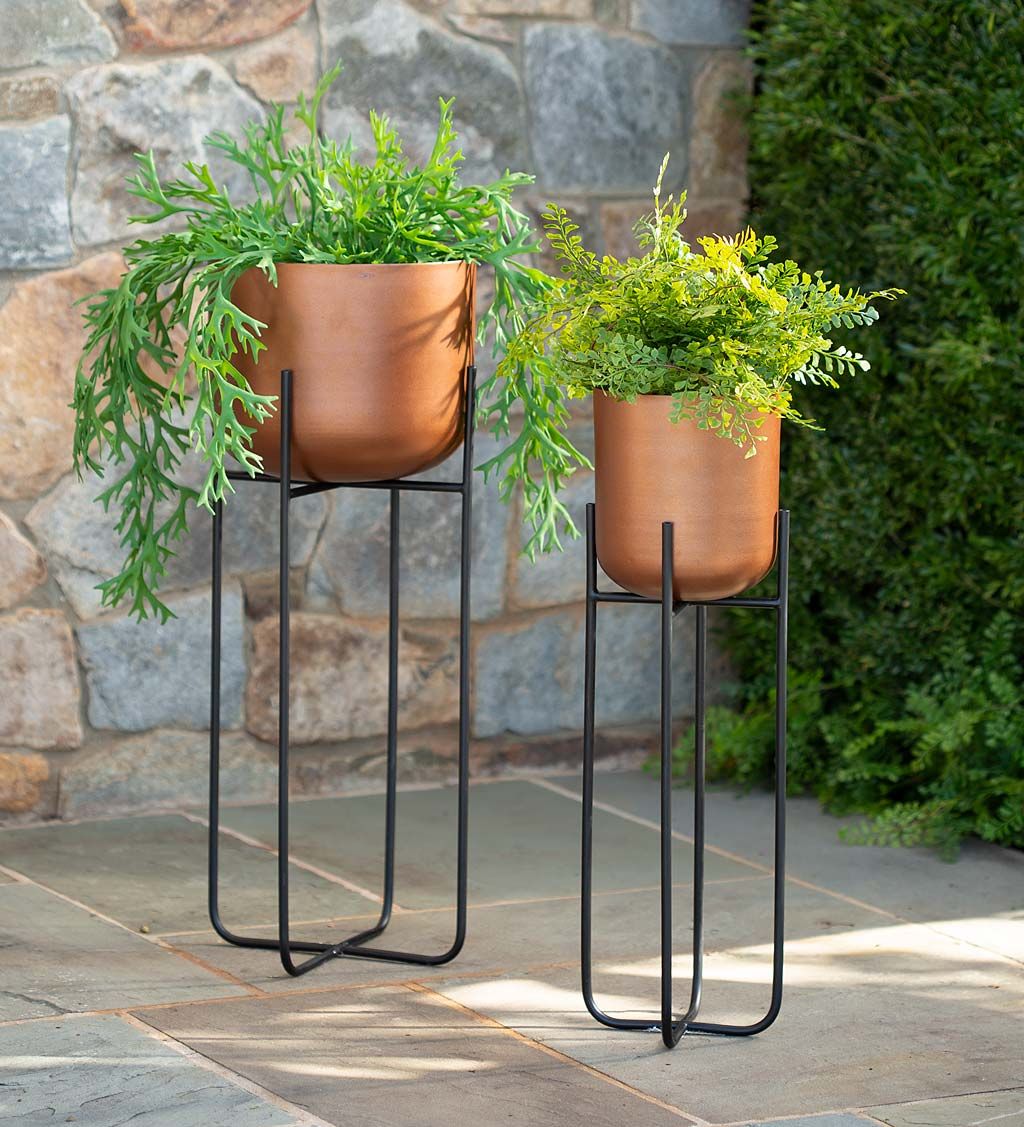 Vivaterra Within Copper Plant Stands (View 8 of 10)