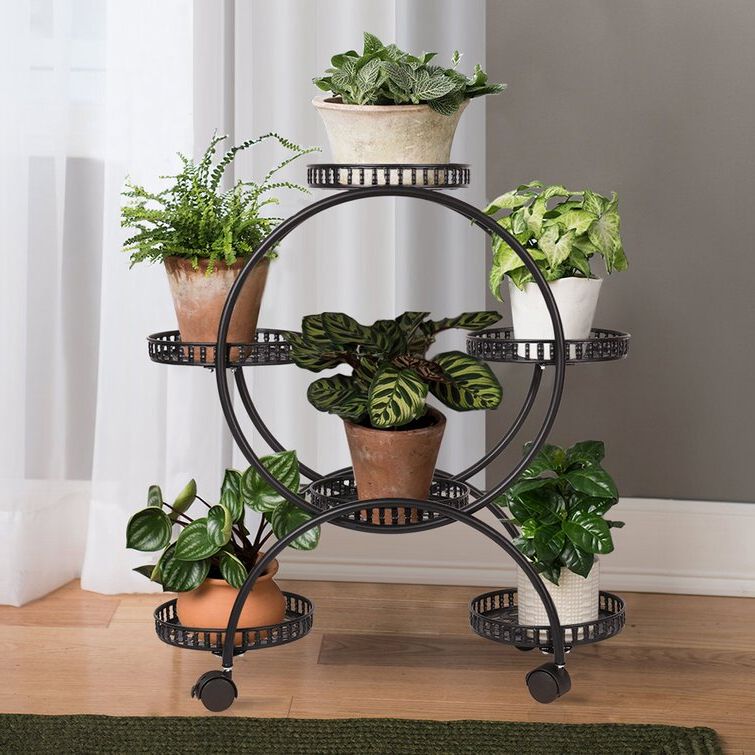 Wayfair Within Most Current Round Plant Stands (View 7 of 10)
