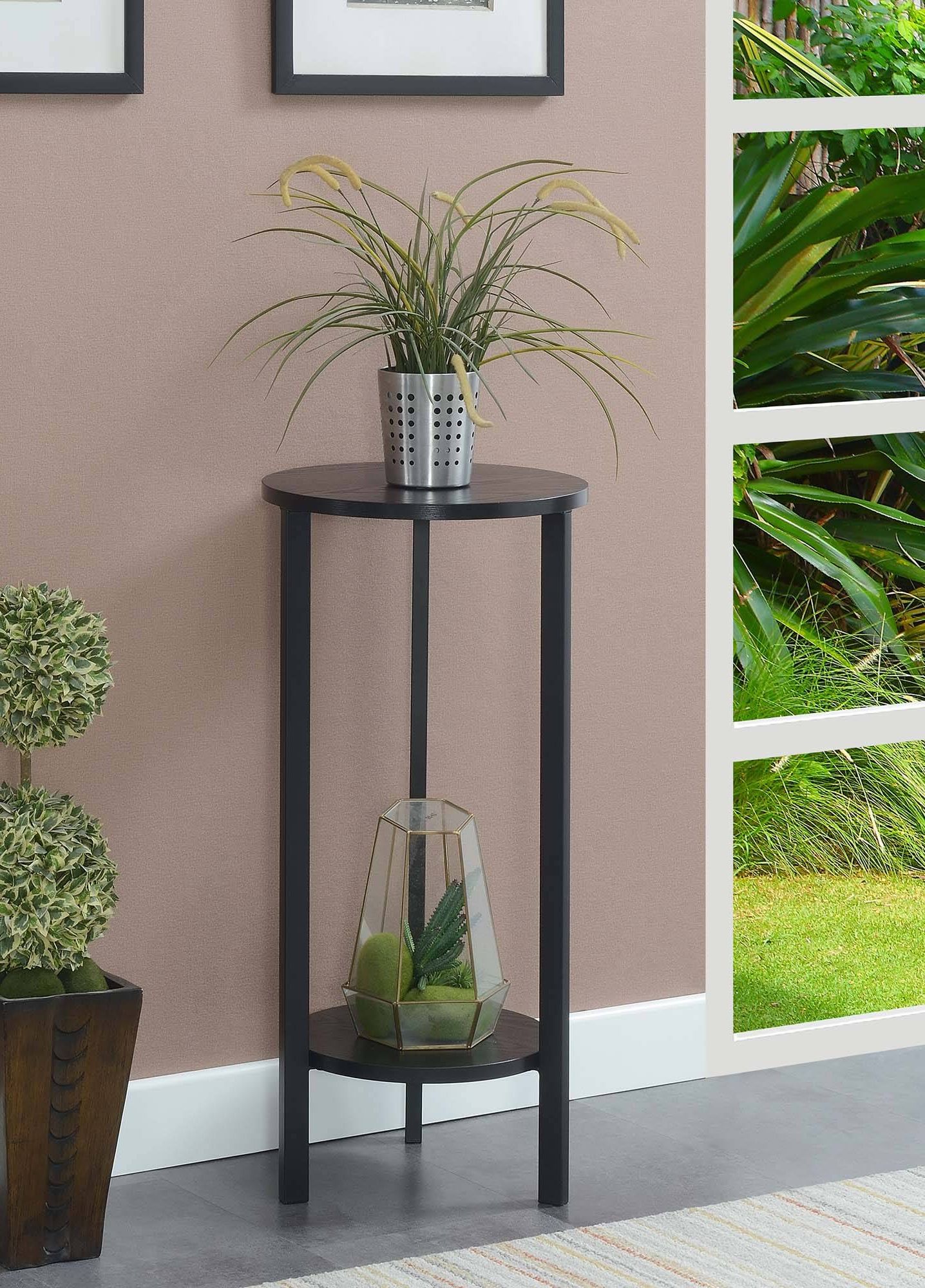 Well Known 31 Inch Plant Stands Inside Graystone 31 Inch Plant Stand In Black – Convenience Concepts 111253blbl (View 8 of 10)