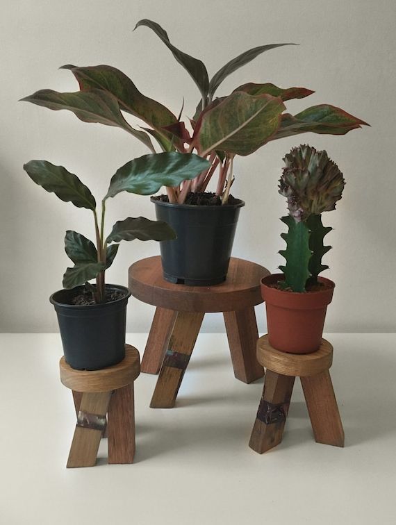 Well Liked Resin Plant Stands Throughout Plant Stand With Epoxy Resin Detail Large Size – Etsy (View 6 of 10)