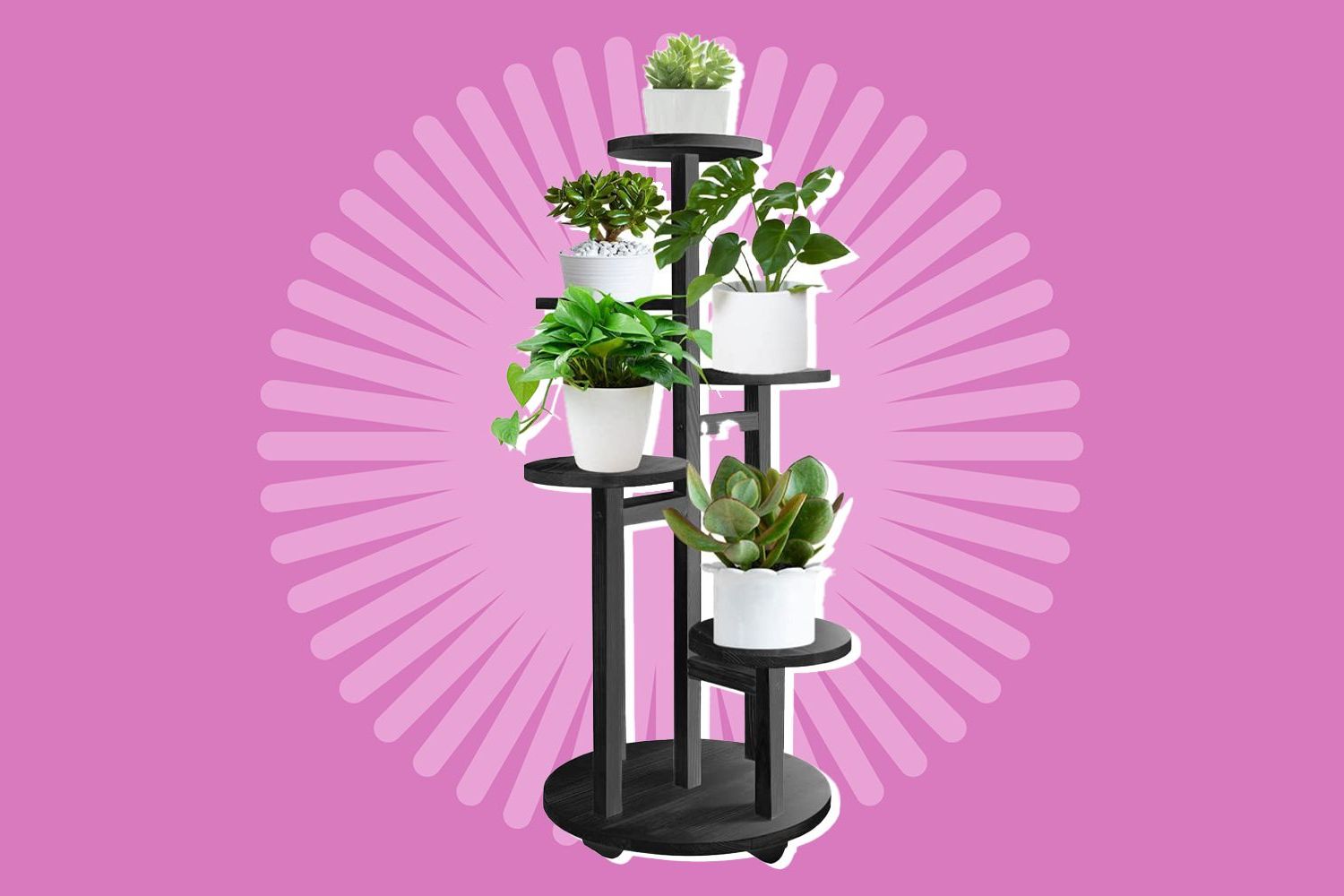 White 32 Inch Plant Stands Throughout Famous The 13 Best Plant Stands Of  (View 9 of 10)