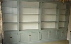 2024 Best of Painted Bookcases