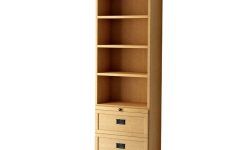 Bookcases with Drawers