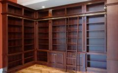 Top 15 of Bookcases with Ladder