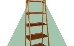20 Inspirations Brock Ladder Bookcases