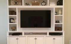 Diy Convertible Tv Stands and Bookcase