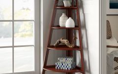 20 Best Collection of Pierview Corner Bookcases