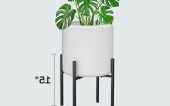 2024 Latest 15-inch Plant Stands