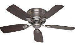 15 Best Collection of Hugger Outdoor Ceiling Fans with Lights