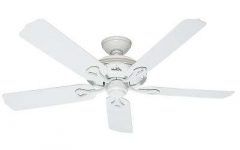 Hunter Outdoor Ceiling Fans with White Lights