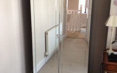 Double Mirrored Wardrobes