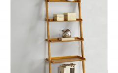15 The Best Ladder Bookcases