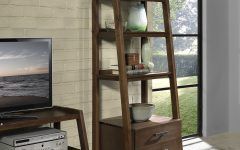 15 Best Ladder Bookcases with Drawers