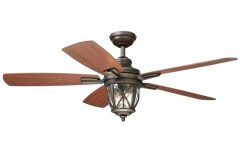 15 Best Collection of Expensive Outdoor Ceiling Fans