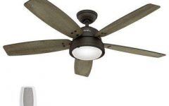Rustic Outdoor Ceiling Fans with Lights