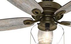 15 Collection of Outdoor Ceiling Fans with Led Globe