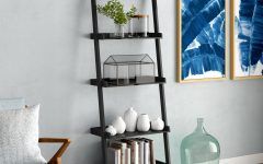 The 20 Best Collection of Nailsworth Ladder Bookcases