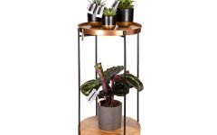 10 Photos Plant Stands with Table