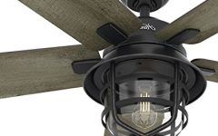 Top 15 of Outdoor Ceiling Fans by Hunter