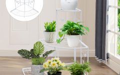 The Best 34 Inch Plant Stands