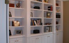 15 The Best Custom Bookcases