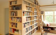 15 Best Collection of Library Ladder Kit