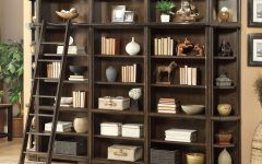 15 Inspirations Office Bookcases