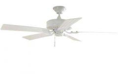 Energy Star Outdoor Ceiling Fans with Light