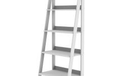 The 15 Best Collection of White Ladder Bookcases