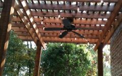 15 Ideas of Outdoor Ceiling Fans for Pergola