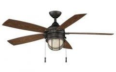 Outdoor Rated Ceiling Fans with Lights