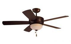  Best 15+ of Amazon Outdoor Ceiling Fans with Lights
