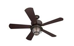 Top 15 of Outdoor Ceiling Fans with Long Downrod